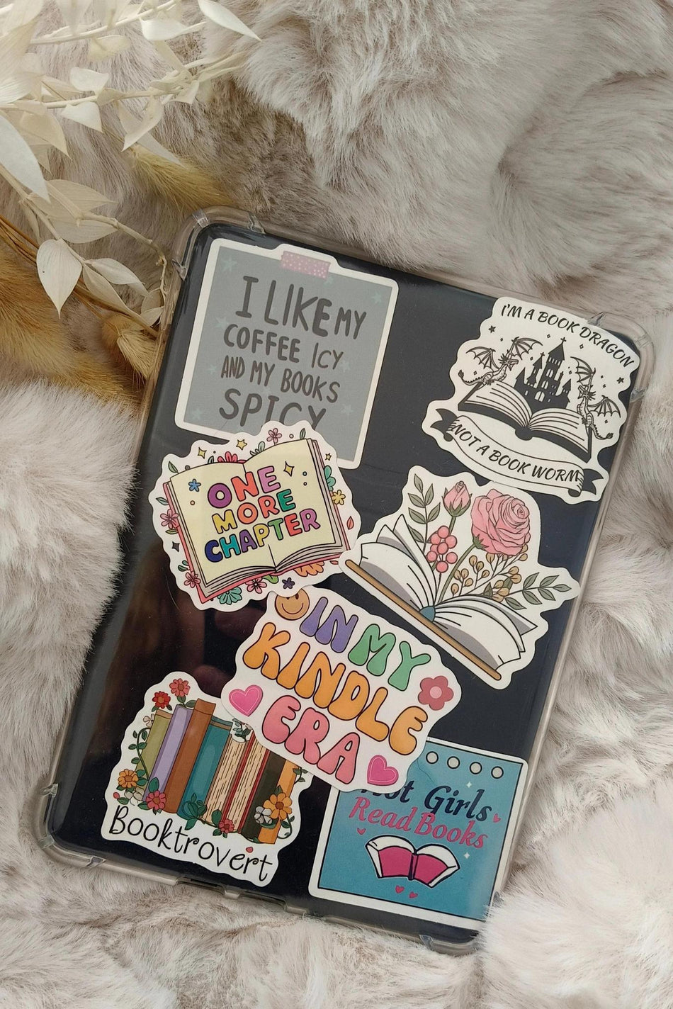 Clear Kindle Case