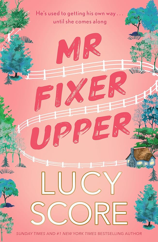 Mr Fixer Upper: the new romance from the 2023 bestselling Tiktok sensation! cover image