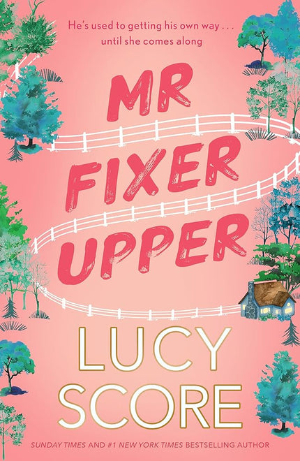 Mr Fixer Upper: the new romance from the 2023 bestselling Tiktok sensation! cover image